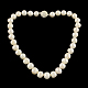 Eleganti collane di perline perla rotonda NJEW-Q282-26S-1