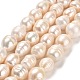Natural Cultured Freshwater Pearl Beads Strands PEAR-E016-108-1