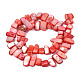 Fili di perle di conchiglia trochid naturale / trochus&nbsp;SHEL-S258-082-B06-2