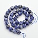 Faceted Round Natural Blue Spot Jasper Beads Strands G-E302-074-10mm-2
