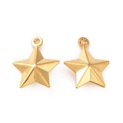 Подвески из нержавеющей стали 304 STAS-D243-08G