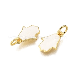 Messing Emaille Anhänger / charms&nbsp;KK-C106-10G