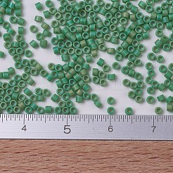 Miyuki Delica Perlen&nbsp;X-SEED-J020-DB0877