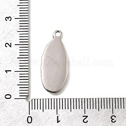 Pendentifs en acier inoxydable 304&nbsp;STAS-L284-05AS