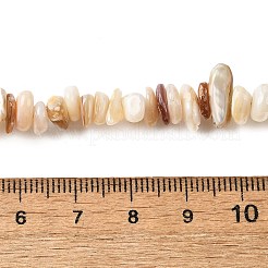 Natürlichen Muschelperlen Stränge&nbsp;BSHE-G029-01B