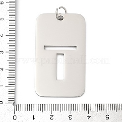 Pendentifs en acier inoxydable 304&nbsp;LS-STAS-M115-01P-T