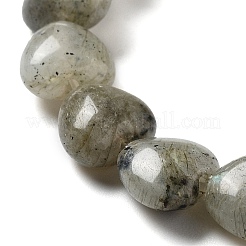 Natur Labradorit Perlen Stränge&nbsp;G-P528-C05-01