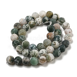 Arbre naturel agate agate dépoli perles de pierres précieuses rondes brins&nbsp;X-G-O151-01-8mm