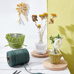Bast Papier Schnüre für DIY Schmuck machen&nbsp;OCOR-BC0001-02B
