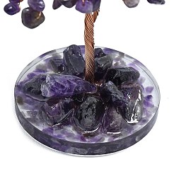Decorazioni per esposizione di schegge di ametista naturale pachira glabra&nbsp;DJEW-K025-06B