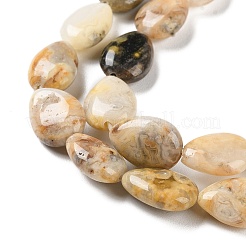 Brins de perles d'agate en dentelle folle naturelle&nbsp;G-K357-A03-01