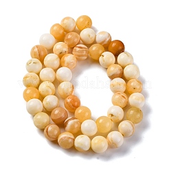 Natürliche gelbe Jade Perlen Stränge&nbsp;G-F591-17-8MM