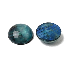 Abalone-Muschel / Paua-Muschel-Cabochons&nbsp;SSHEL-K003-8MM