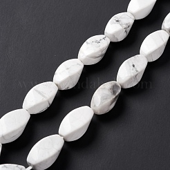 Fili di perline howlite naturale&nbsp;G-L243A-21