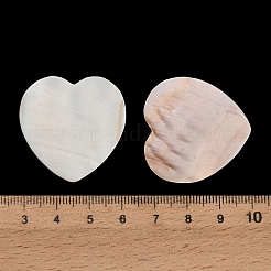 Natürliche Süßwasser Muschel Cabochons&nbsp;SHEL-C010-10B