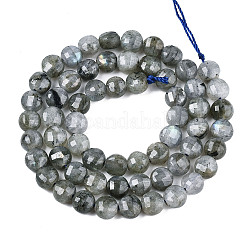Perline labradorite naturale fili&nbsp;X-G-S354-24-A