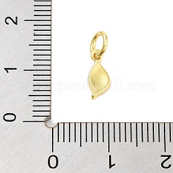 Breloques en laiton et émail plaqué or véritable 18 carat&nbsp;KK-M293-25G-02