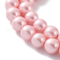 Shell-Perle Perle Stränge&nbsp;BSHE-L025-06-8mm