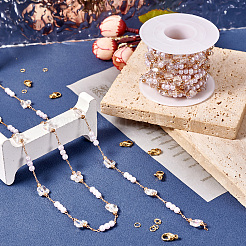 DIY Messing Glas Schmetterling und Kunststoff Kunstperlen Perlenketten Halskette Schmuck-Kits&nbsp;DIY-TA0010-49