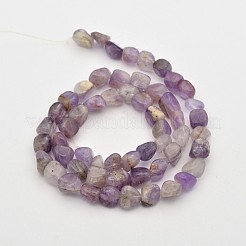 Natürliche Lavendel-Amethyst-Perlenstränge&nbsp;G-P070-15