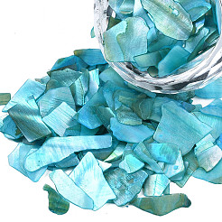 Natürliches Abalone/Paua-Schalenglimmerfragment&nbsp;MRMJ-N026-001-A05