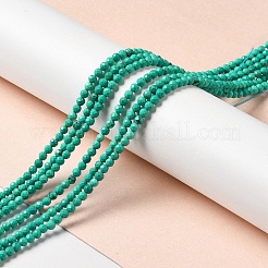 Fili di perline howlite naturale&nbsp;G-C025-02B-02