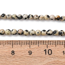Natur Dalmatiner Jaspis Perlen Stränge&nbsp;LS-G-Z116-A10-3mm