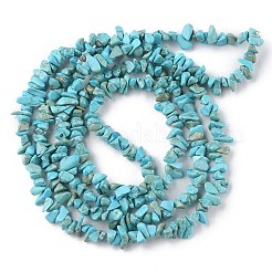Fili di perline howlite naturale&nbsp;X-G-G0003-B21