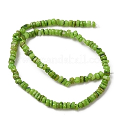 Chapelets de perles de coquille d'eau douce naturelle teinte&nbsp;SH-CBA2978-04B