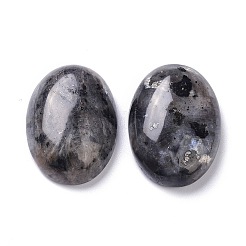 Natürliche schwarze Larvikit-Cabochons&nbsp;X-G-Z020-10