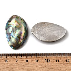 Natürlichen Muschel Cabochons&nbsp;SSHEL-S280-01B