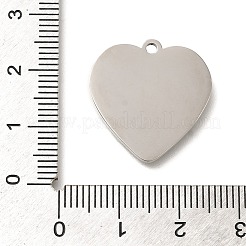 Anlaufgeschützte Anhänger aus 304 Edelstahl&nbsp;LS-STAS-R131-14P