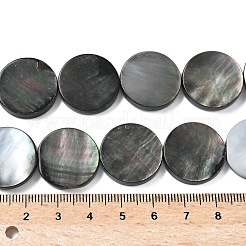 Natur schwarz Lippe Shell Perlen Stränge&nbsp;BSHE-D300-05-20mm