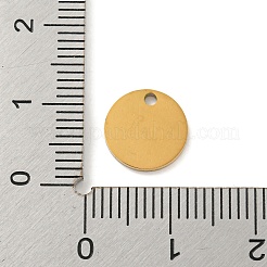 Placcatura ionica (ip) ciondoli in acciaio inossidabile 304&nbsp;FIND-M017-02G-G