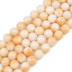 Teñidos naturales blancas abalorios de jade hebras&nbsp;GG-CBAD029-A01-10mm