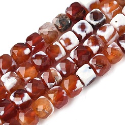Naturelles feu crépitent agate perles brins&nbsp;G-H078-C49-6mm-01