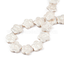 Placcatura fili di perline di conchiglia d'acqua dolce naturale&nbsp;SHEL-N026-232