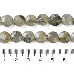 Natur Labradorit Perlen Stränge&nbsp;G-K357-B03-01