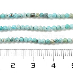 Natur hubei türkisfarbenen Perlen Stränge&nbsp;G-G792-38-01