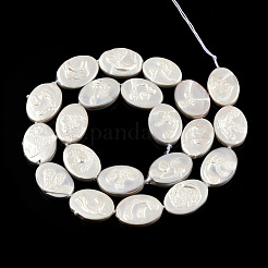Placcatura fili di perline di conchiglia d'acqua dolce naturale&nbsp;SHEL-N026-227