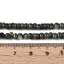 Brins de perles d'eau douce naturelles teints en coquille&nbsp;SHEL-T020-29A-01