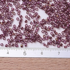 Miyuki Delica Perlen&nbsp;X-SEED-J020-DB0103