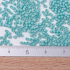 Miyuki Delica Perlen&nbsp;SEED-JP0008-DB0878