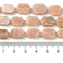 Natürliche sunstone Perlen Stränge&nbsp;G-C098-A12-01