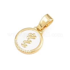 Charms in ottone&nbsp;KK-E798-01D-G