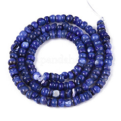Fili di perline tinti in conchiglia naturale d'acqua dolce&nbsp;SHEL-T020-29A-10