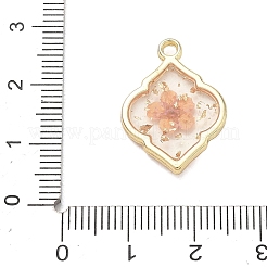Epoxidharz-Legierungsanhänger&nbsp;AL-Z001-08G-04