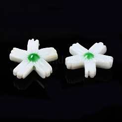 Perles de coquillages naturels d'eau douce&nbsp;SHEL-N003-19C