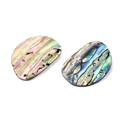 Natur Paua Muschel Anhänger&nbsp;SHEL-T020-12