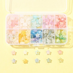 300 Stück 10 Farben mattierte Acryl-Anhänger&nbsp;OACR-FS0004-09